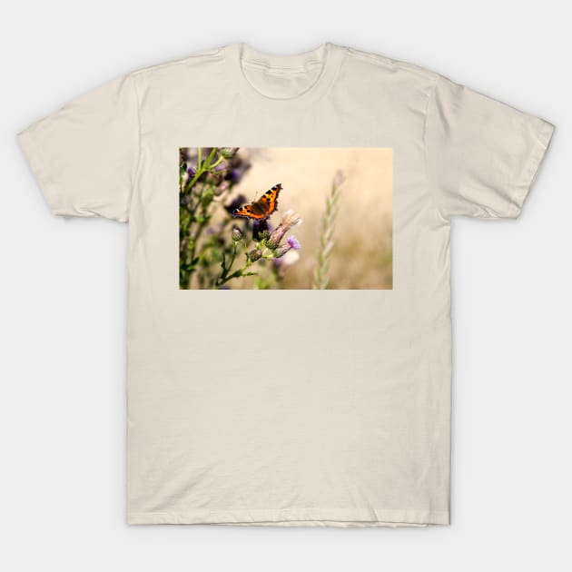 Small Tortoiseshell Butterfly T-Shirt by Violaman